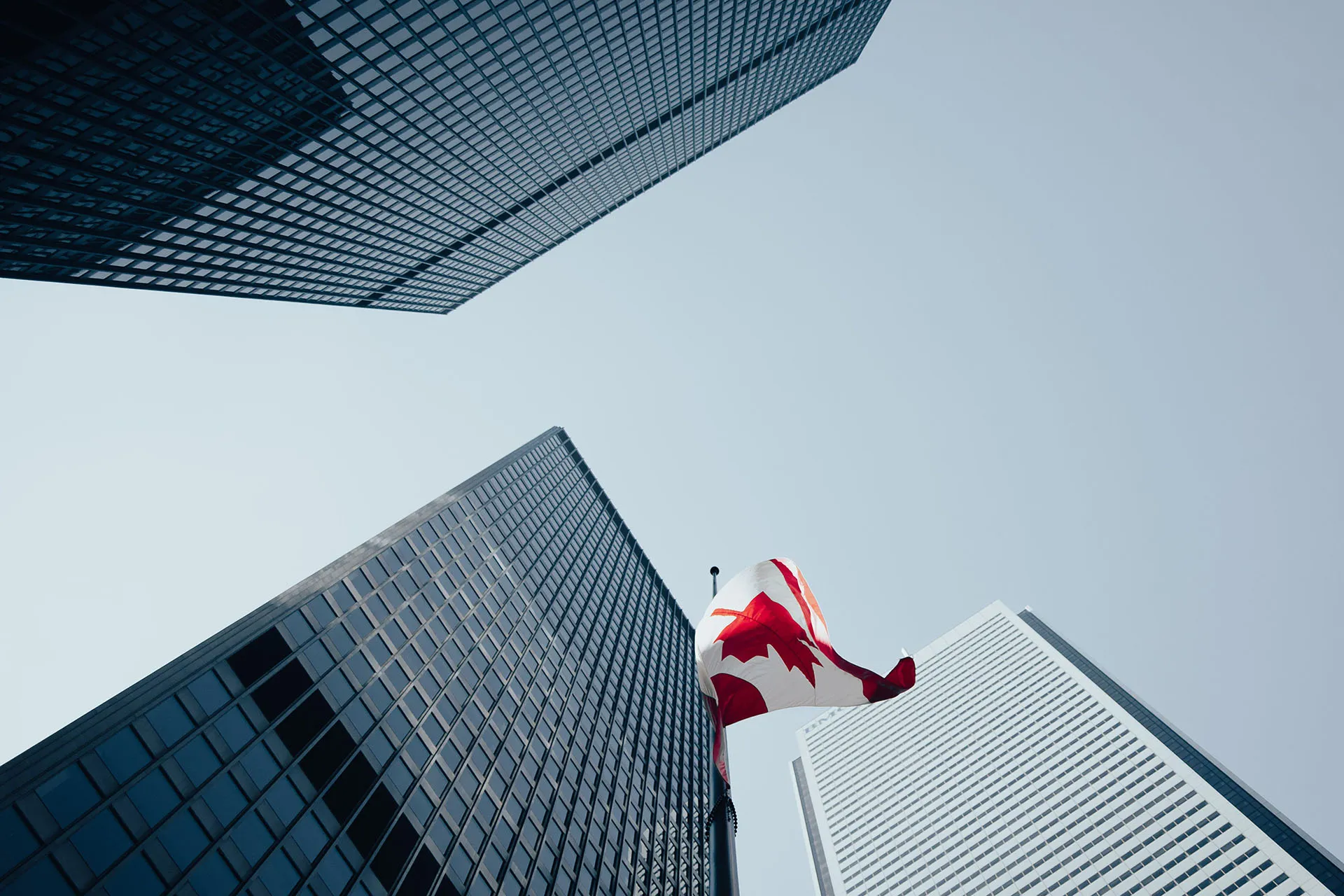A low angle view of a cluster of skyscrapers in an urban city, with a Canadian flag blowing above on a flagpole