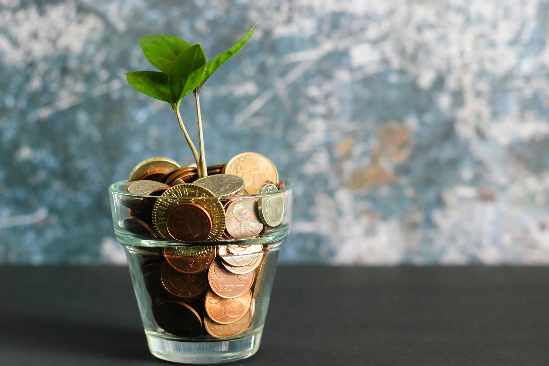  A small green sprout growing out of a glass cup filled with a variety of coins, representing investing, against a textured blue wall.