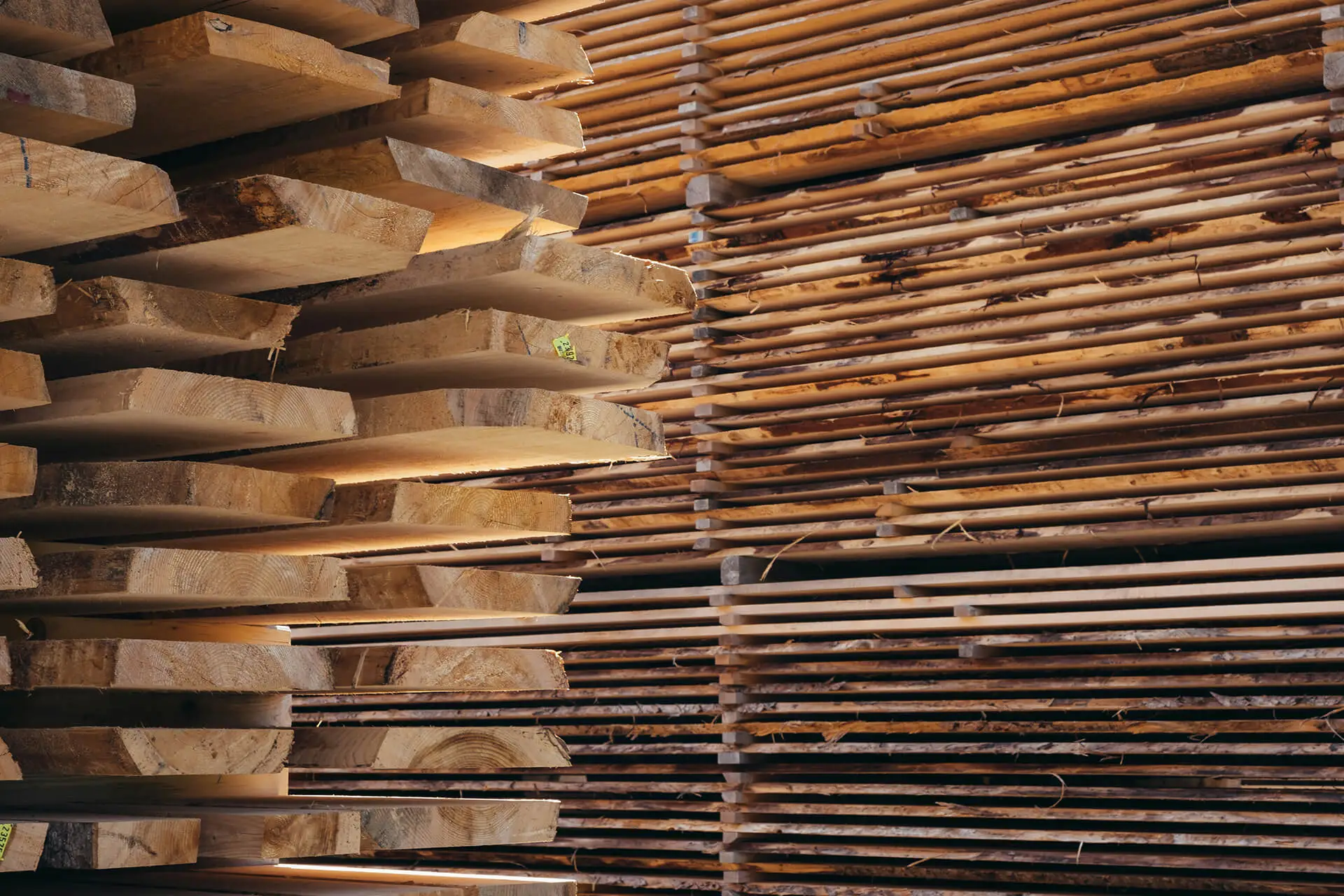 Stacked wooden planks drying in a lumber yard, showing rows of raw timber boards with warm natural wood tones.